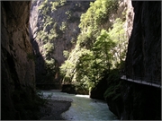 Walter 08.07.08-02.01.200932